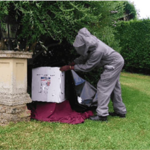 Our mid-summer memorable removal
